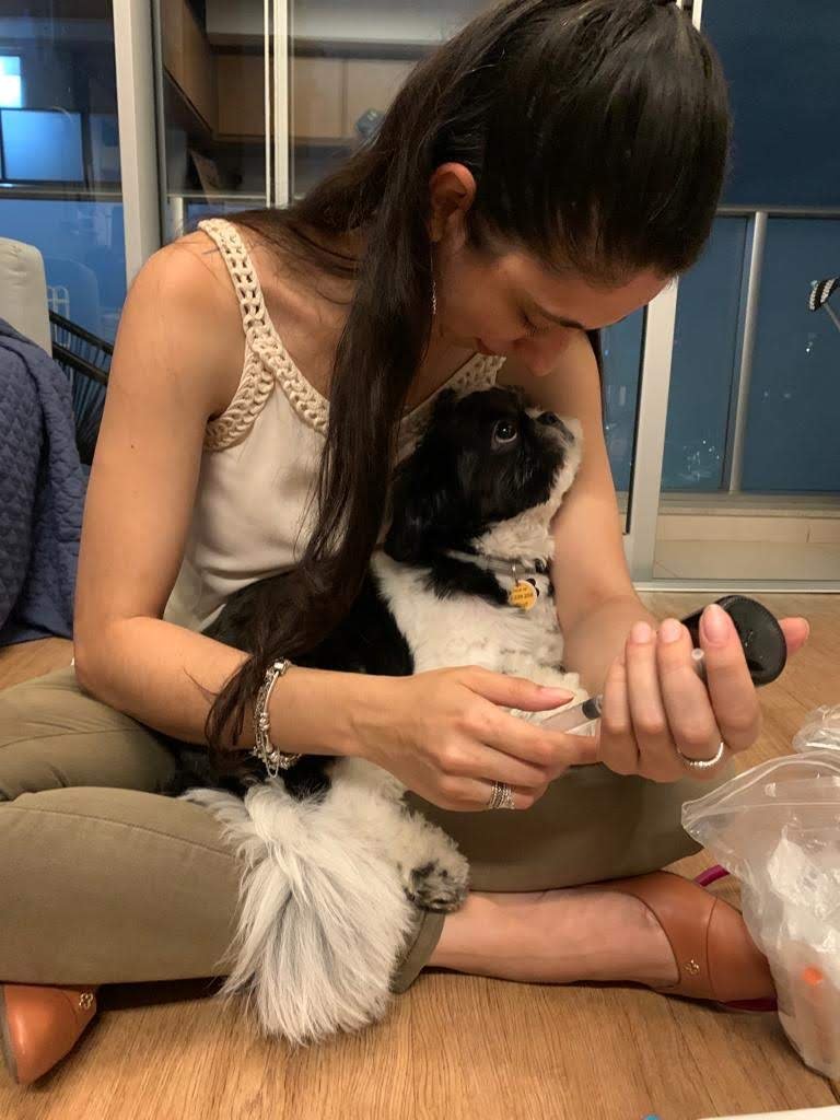 IMG-20230304-WA0027 Dra. Ana Carolina atendendo um cão em consulta domiciliar.
